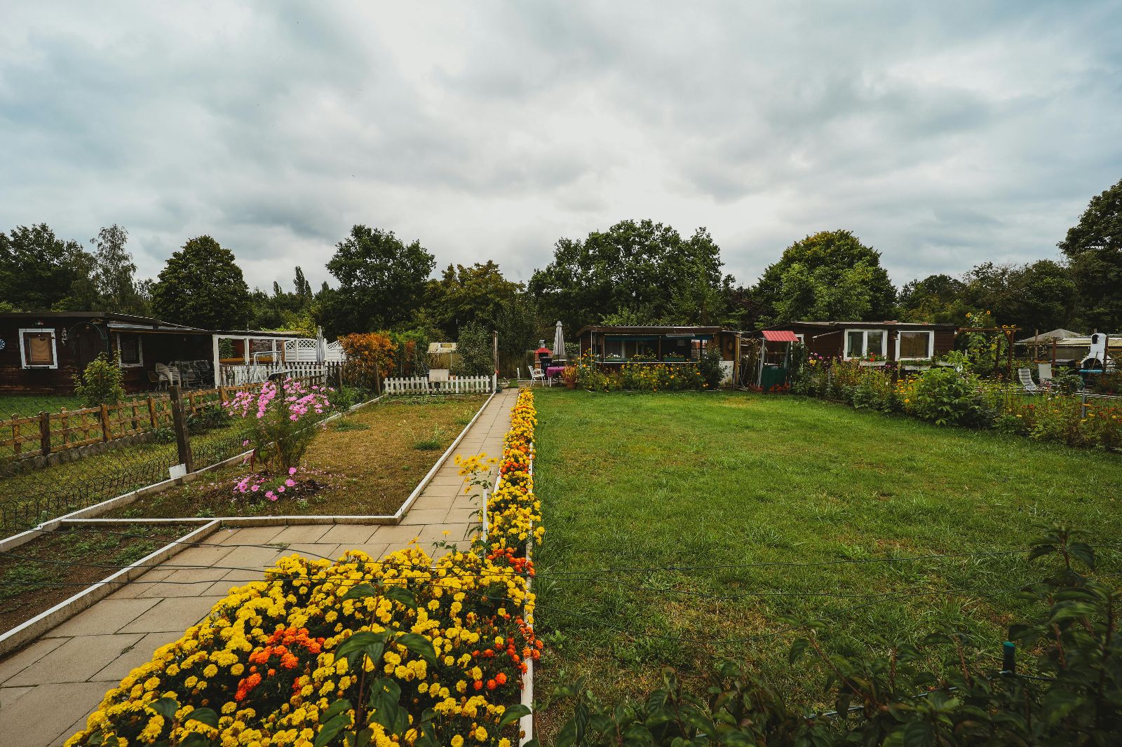 jardin_con_plantas