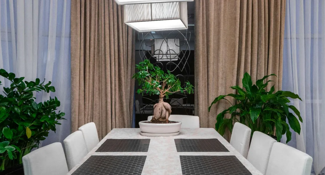 Diseño de interiores